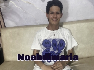 noahdimaria Prolap Sex