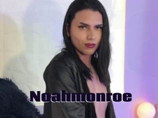 noahmonroe Prolap Sex