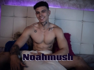 Noahmush