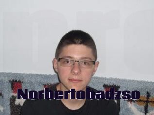 Norbertobadzso