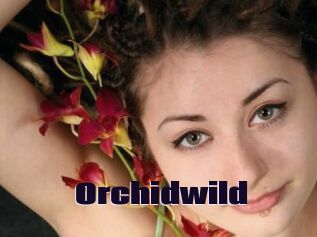 orchidwild Prolap Sex