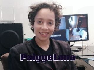 PaiggeLane