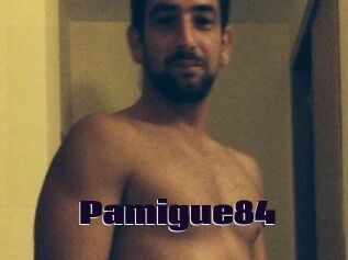 Pamigue84