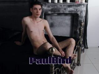 PaulBird