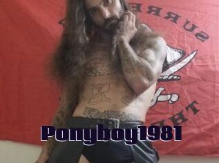 Ponyboy1981