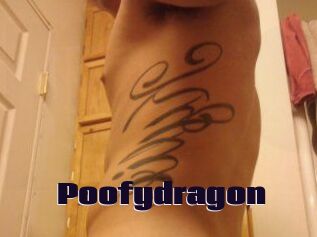 Poofydragon