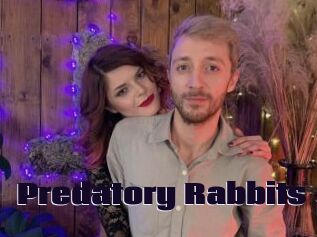 Predatory_Rabbits