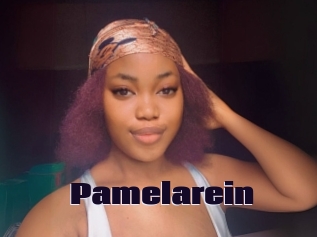 Pamelarein