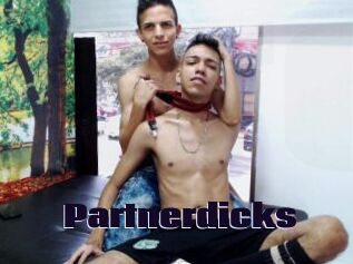 Partnerdicks