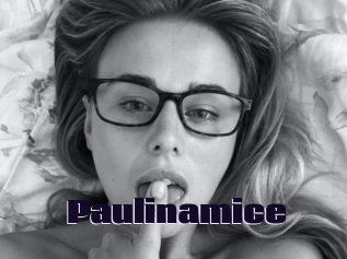 Paulinamice