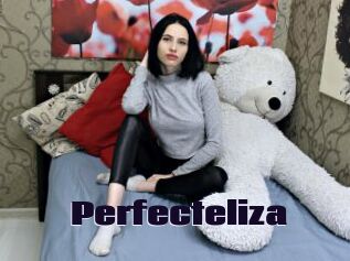 Perfecteliza