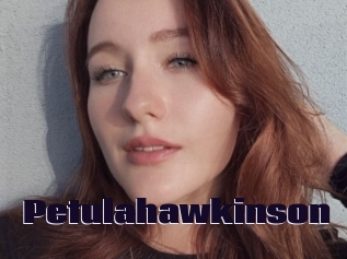 Petulahawkinson