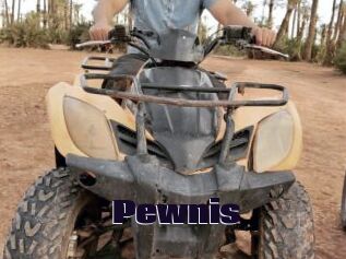 Pewnis