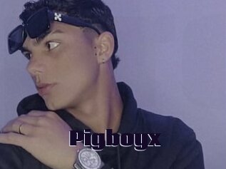 Pigboyx