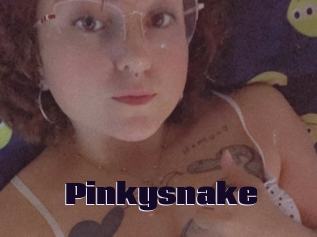 Pinkysnake