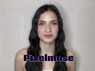 Pixelmuse