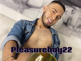 Pleasureboy22