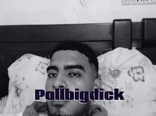 Pollbigdick