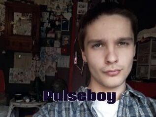 Pulseboy