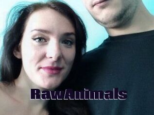 RawAnimals