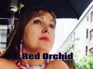 Red_Orchid