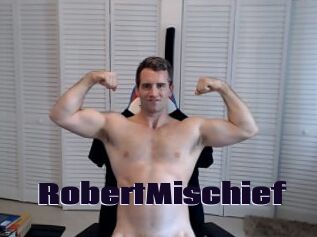 RobertMischief