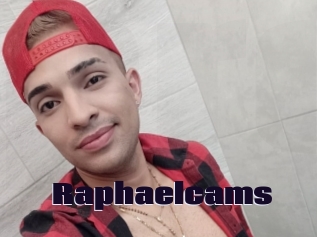 Raphaelcams