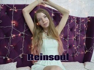 Reinsoul