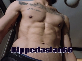 Rippedasian66