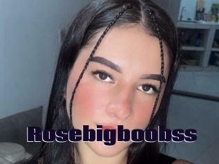 Rosebigboobss