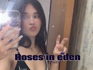 Roses_in_eden