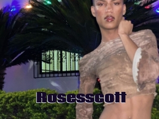 Rosesscott