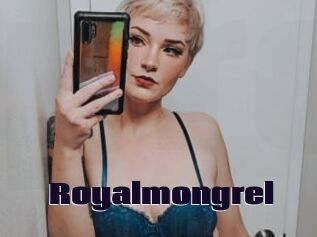 Royalmongrel