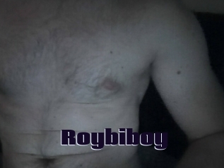 Roybiboy