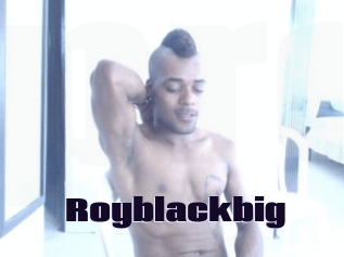 Royblackbig