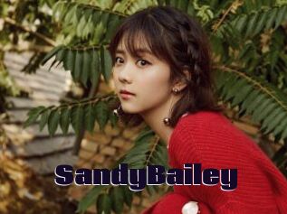 SandyBailey