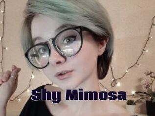 Shy_Mimosa