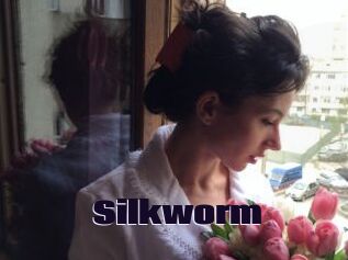 Silkworm