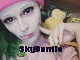 SkyBurrito