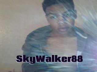 SkyWalker88