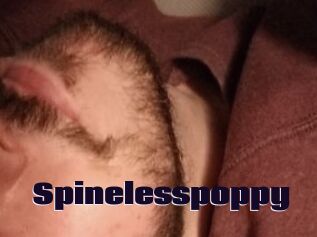 Spinelesspoppy