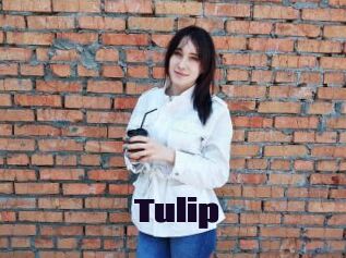 Tulip