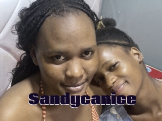 Sandycanice