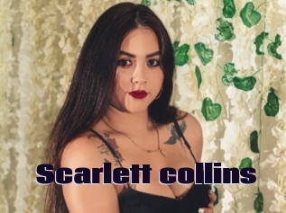 Scarlett_collins