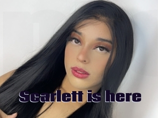 Scarlett_is_here