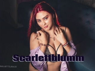 Scarlettblumm