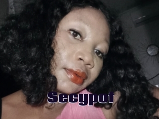 Secypot