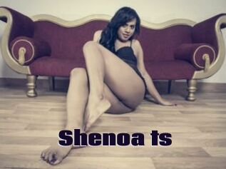 Shenoa_ts