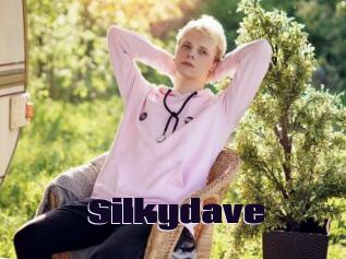 Silkydave
