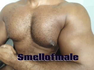 Smellofmale